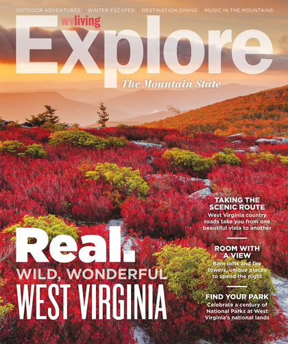 Explore Brand Magazines